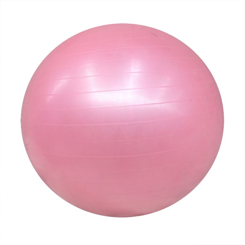 Anti-Burst Gym Ball (65cm)
